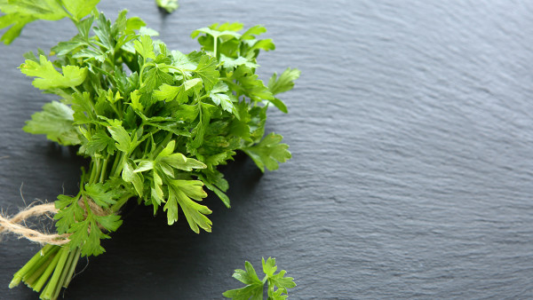 夏季防暑养生调理药粥  调理脾胃的粥有哪些？