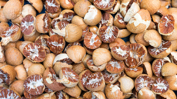 夏季儿童消暑药膳   这样做药膳营养又美味