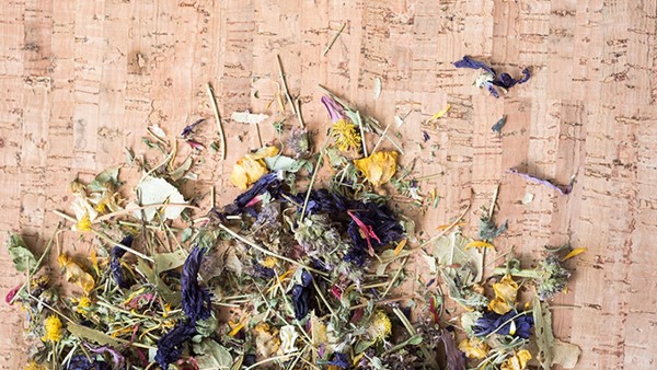 甲鱼的功效与作用   小孩能吃甲鱼吗？