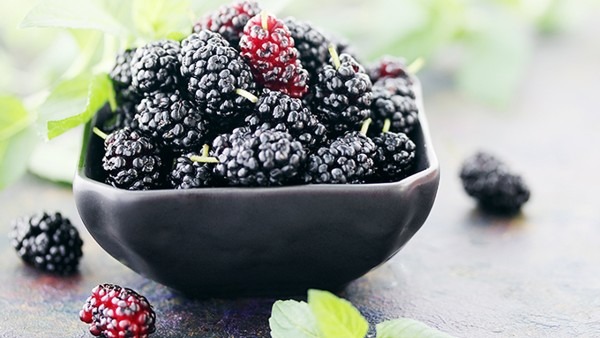 桑甚干怎么吃效果最好  黑桑甚干的功效与作用