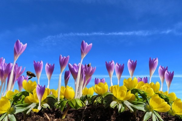 为什么会春困？区分三种类型春困检查要留心