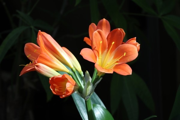 睡醒了还是困？春困背后暗示的7种病